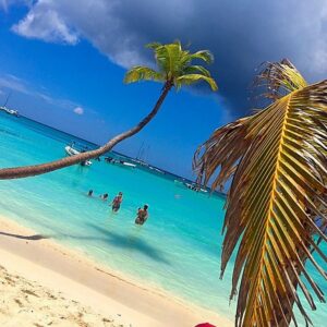Excursión a Isla Saona